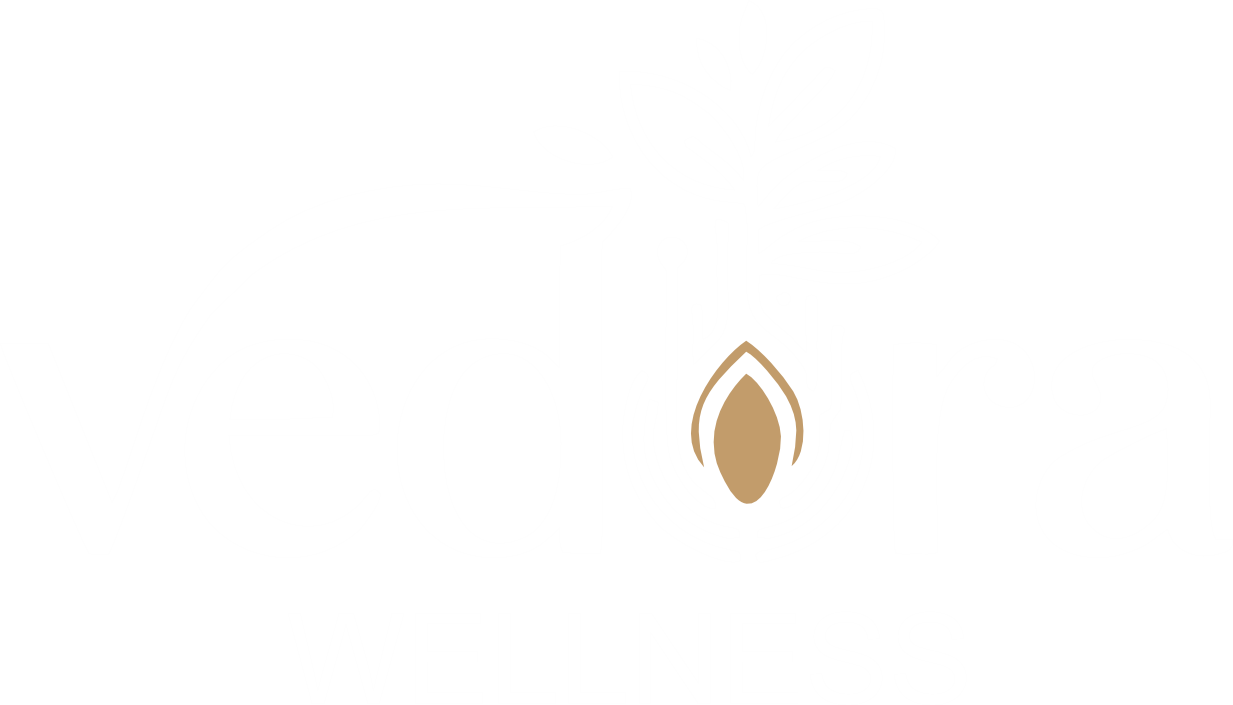 vedora logo 2