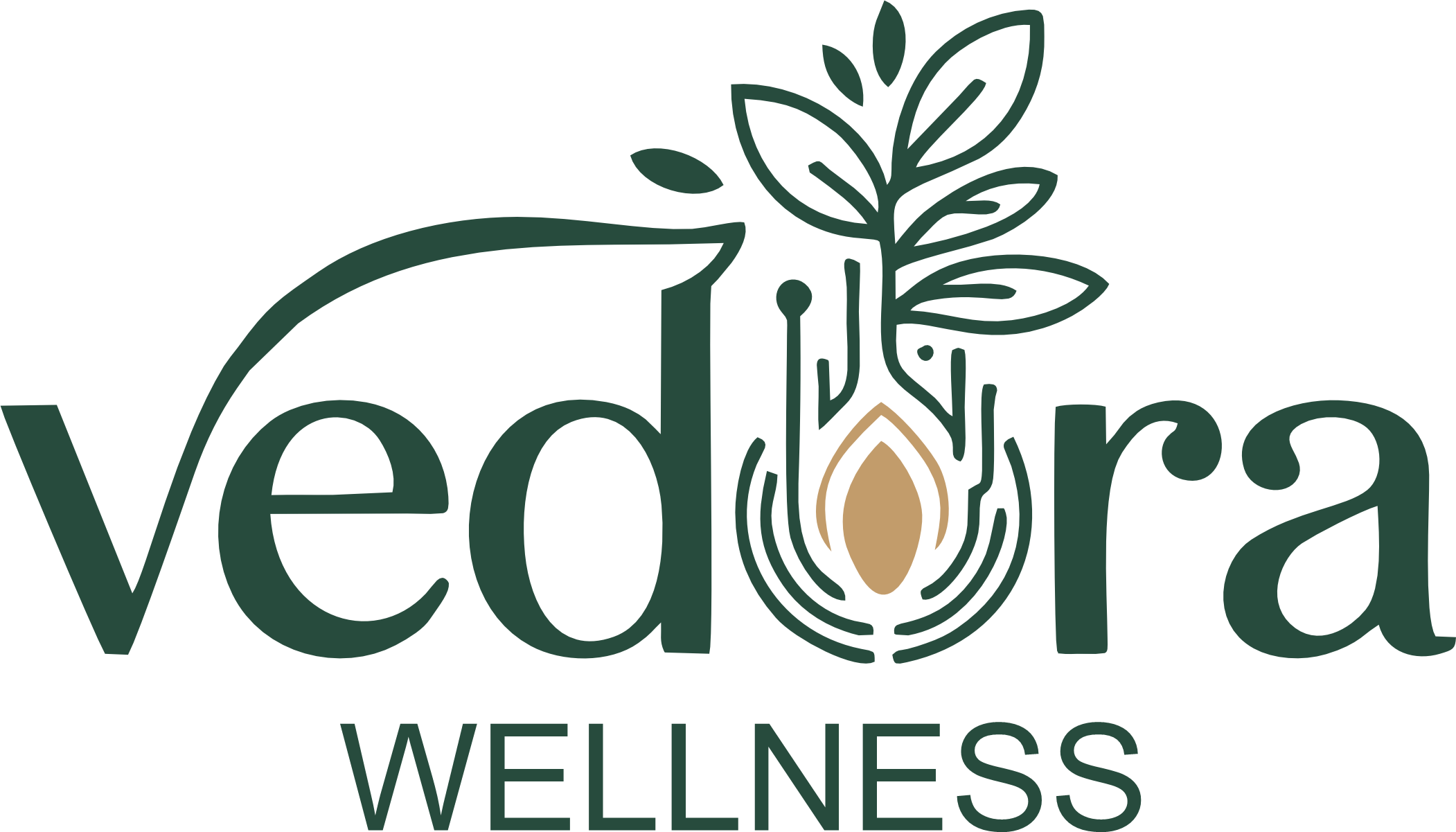 Vedora Wellness