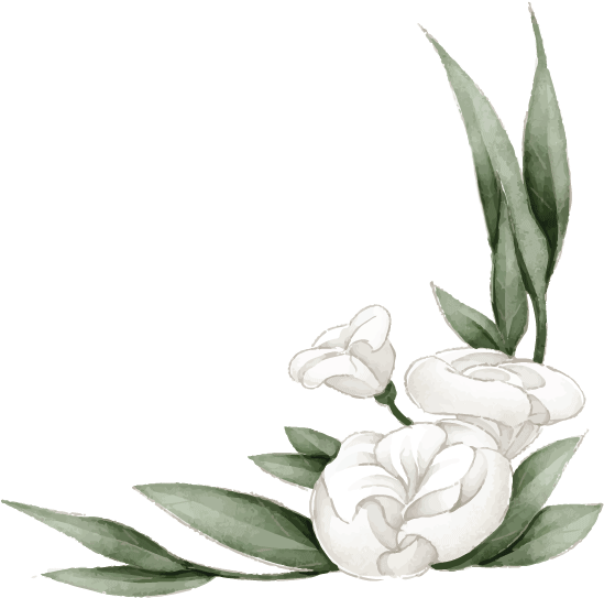 white-flower-2.png